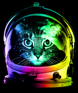 Astronaut Cat