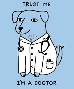 Dogtor