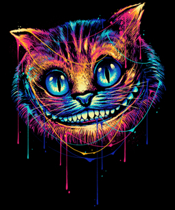 Colourful Cat