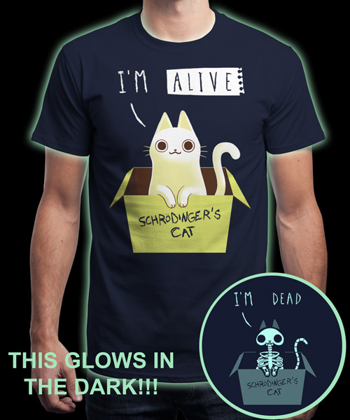 Qwertee Schrodinger night T Shirt Limited Edition Cheap Daily T Shirts